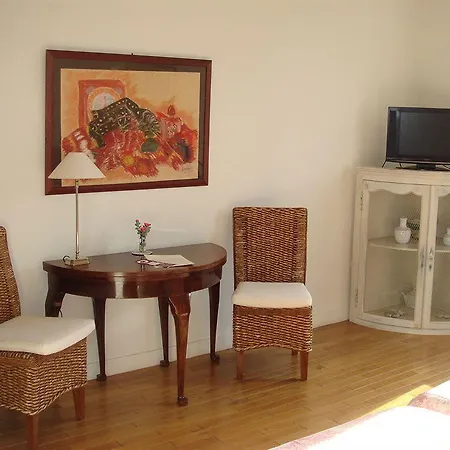 레 신 니스