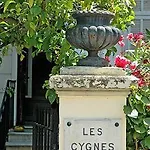 Les Cygnes