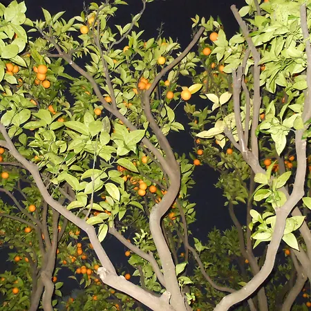 فندق Les Cygnes 3*