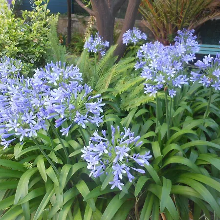 ホテル レ シグネス 3*